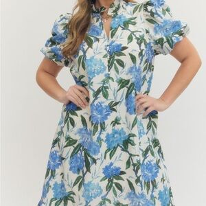 Entro Blue and Green Floral Mini Dress